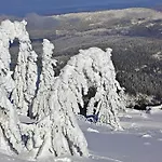Im Am Nationalpark Apartment