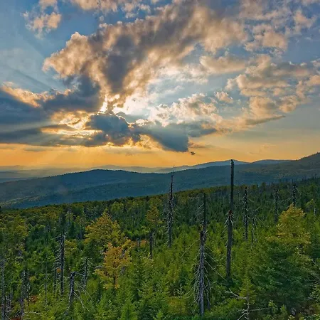아파트 Im Am Nationalpark Ludwigsthal