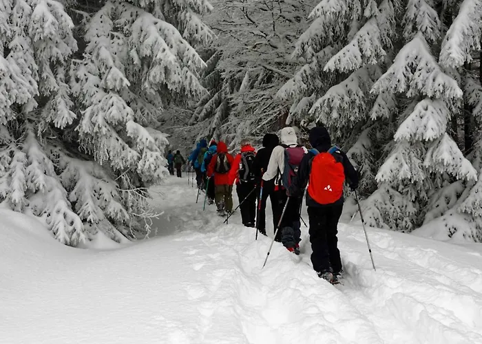 Apartmán Im Am Nationalpark *